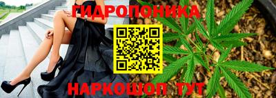 ешки Краснодар