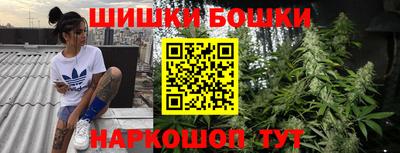 СК Краснознаменск
