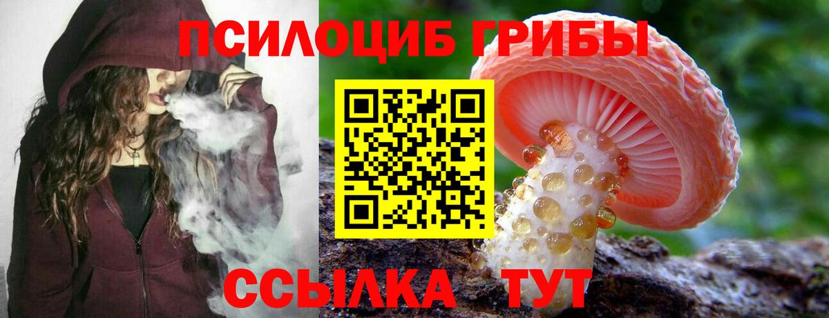 Псилоцибиновые грибы прущие грибы  Вход с VPN  магазин    Касимов  Галлюциногенные грибы мицелий 